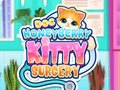 Ойын Doc HoneyBerry Kitty Surgery
