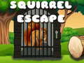 Ойын Squirrel Escape