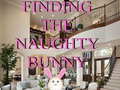 Ойын Finding The Naughty Bunny