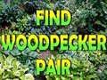 Ойын Find Woodpecker Pair 