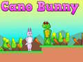 Ойын Cano Bunny