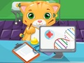 Ойын Cat Doctor