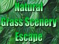 Ойын Natural Grass Scenery Escape
