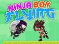 Ойын Ninja Boy Flying