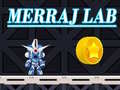 Ойын Merraj Lab