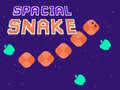 Ойын Spacial Snake