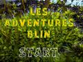 Ойын Les Adventures Blin
