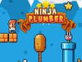 Ойын Ninja Plumber