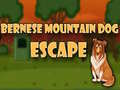 Ойын Bernese Mountain Dog Escape