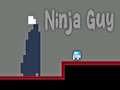 Ойын Ninja Guy