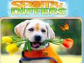 Ойын Spot&Differs