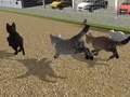 Ойын Run Cat Cat Race