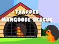 Ойын Trapped Mangoose Rescue