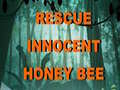 Ойын Rescue Innocent Honey Bee 