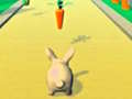 Ойын Rabbit Runner