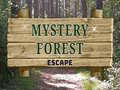 Ойын Mystery Forest