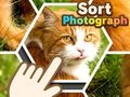 Ойын Sort Photograph