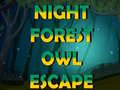 Ойын Night Forest Owl Escape