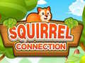 Ойын Squirrel Connection