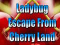 Ойын Ladybug Escape From Cherry Land