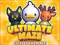 Ойын Ultimate Maze! Collect Them All!