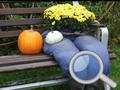 Ойын Autumn Garden Find 100 butterflies