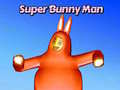 Ойын Super Bunny Man