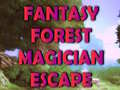 Ойын Fantasy Forest Magician Escape