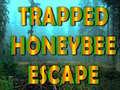 Ойын Trapped Honeybee Escape