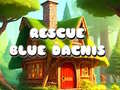 Ойын Rescue Blue Dacnis