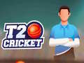 Ойын T20 Cricket