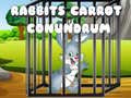Ойын Rabbits Carrot Conundrum