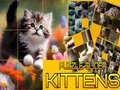 Ойын Puzzle Sliding Kittens