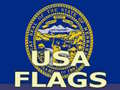 Ойын Usa Flags 