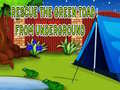 Ойын Rescue The Green Toad From Underground