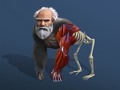 Ойын Idle Evolution From Cell To Human