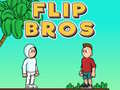 Ойын Flip Bros