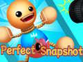 Ойын Perfect Snapshot