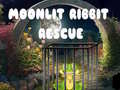 Ойын Moonlit Ribbit Rescue