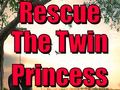 Ойын Rescue The Twin Princess