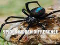 Ойын Spider Hidden Difference