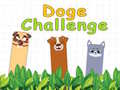 Ойын Doge Challenge