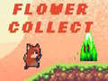 Ойын Flower Collect