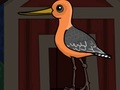 Ойын Cute Godwit Escape