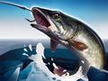 Ойын Ice Fishing 3D