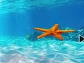 Ойын Escape From Underwater Starfish