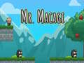 Ойын Mr Macagi