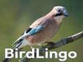 Ойын BirdLingo