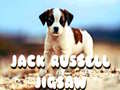 Ойын Jack Russell Jigsaw