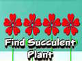 Ойын Find Succulent Plant